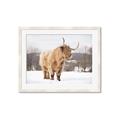 Picture of Fluffy Friend _GroupedProduct_Rectangle_Landscape_Photography _GroupedProduct_Rectangle_Landscape_Framed_Matted_