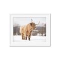 Picture of Fluffy Friend _GroupedProduct_Rectangle_Landscape_Photography _GroupedProduct_Rectangle_Landscape_Framed_Matted_