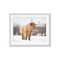 Picture of Fluffy Friend _GroupedProduct_Rectangle_Landscape_Photography _GroupedProduct_Rectangle_Landscape_Framed_Matted_
