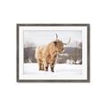 Picture of Fluffy Friend _GroupedProduct_Rectangle_Landscape_Photography _GroupedProduct_Rectangle_Landscape_Framed_Matted_