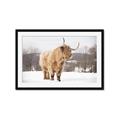 Picture of Fluffy Friend _GroupedProduct_Rectangle_Landscape_Photography _GroupedProduct_Rectangle_Landscape_Framed_Matted_