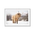 Picture of Fluffy Friend _GroupedProduct_Rectangle_Landscape_Photography _GroupedProduct_Rectangle_Landscape_Framed_Matted_