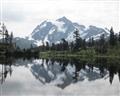 Picture of Mirror image of Mt Shuksan _GroupedProduct_Rectangle_Landscape_Photography _GroupedProduct_Rectangle_Landscape_Unframed_Print_Only_