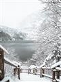 Picture of Snowy Bridge _GroupedProduct_Rectangle_Portrait_Photography _GroupedProduct_Rectangle_Portrait_Unframed_Print_Only_