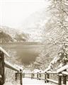 Picture of Snowy Bridge _GroupedProduct_Rectangle_Portrait_Photography _GroupedProduct_Rectangle_Portrait_Unframed_Print_Only_