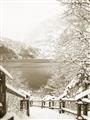 Picture of Snowy Bridge _GroupedProduct_Rectangle_Portrait_Photography _GroupedProduct_Rectangle_Portrait_Unframed_Print_Only_