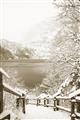 Picture of Snowy Bridge _GroupedProduct_Rectangle_Portrait_Photography _GroupedProduct_Rectangle_Portrait_Unframed_Print_Only_