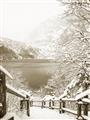 Picture of Snowy Bridge _GroupedProduct_Rectangle_Portrait_Photography _GroupedProduct_Rectangle_Portrait_Unframed_Print_Only_