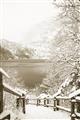 Picture of Snowy Bridge _GroupedProduct_Rectangle_Portrait_Photography _GroupedProduct_Rectangle_Portrait_Unframed_Print_Only_