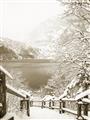 Picture of Snowy Bridge _GroupedProduct_Rectangle_Portrait_Photography _GroupedProduct_Rectangle_Portrait_Unframed_Print_Only_