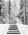 Picture of Winter's Kiss _GroupedProduct_Rectangle_Portrait_Photography _GroupedProduct_Rectangle_Portrait_Unframed_Print_Only_