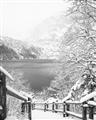 Picture of Snowy Bridge _GroupedProduct_Rectangle_Portrait_Photography _GroupedProduct_Rectangle_Portrait_Unframed_Print_Only_