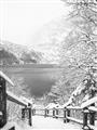 Picture of Snowy Bridge _GroupedProduct_Rectangle_Portrait_Photography _GroupedProduct_Rectangle_Portrait_Unframed_Print_Only_