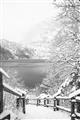Picture of Snowy Bridge _GroupedProduct_Rectangle_Portrait_Photography _GroupedProduct_Rectangle_Portrait_Unframed_Print_Only_