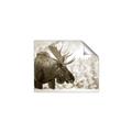 Picture of Elliot, the moose _GroupedProduct_Rectangle_Landscape_Photography _GroupedProduct_Rectangle_Landscape_Unframed_Print_Only_