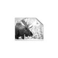 Picture of Elliot, the moose _GroupedProduct_Rectangle_Landscape_Photography _GroupedProduct_Rectangle_Landscape_Unframed_Print_Only_