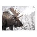 Picture of Elliot, the moose _GroupedProduct_Rectangle_Landscape_Photography _GroupedProduct_Rectangle_Landscape_Unframed_Print_Only_