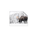 Picture of Winter Moose _GroupedProduct_Rectangle_Landscape_Photography _GroupedProduct_Rectangle_Landscape_Unframed_Print_Only_
