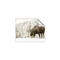 Picture of Winter Moose _GroupedProduct_Rectangle_Landscape_Photography _GroupedProduct_Rectangle_Landscape_Unframed_Print_Only_