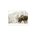 Picture of Winter Moose _GroupedProduct_Rectangle_Landscape_Photography _GroupedProduct_Rectangle_Landscape_Unframed_Print_Only_