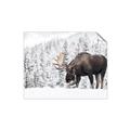 Picture of Winter Moose _GroupedProduct_Rectangle_Landscape_Photography _GroupedProduct_Rectangle_Landscape_Unframed_Print_Only_