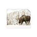 Picture of Winter Moose _GroupedProduct_Rectangle_Landscape_Photography _GroupedProduct_Rectangle_Landscape_Unframed_Print_Only_
