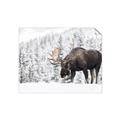 Picture of Winter Moose _GroupedProduct_Rectangle_Landscape_Photography _GroupedProduct_Rectangle_Landscape_Unframed_Print_Only_
