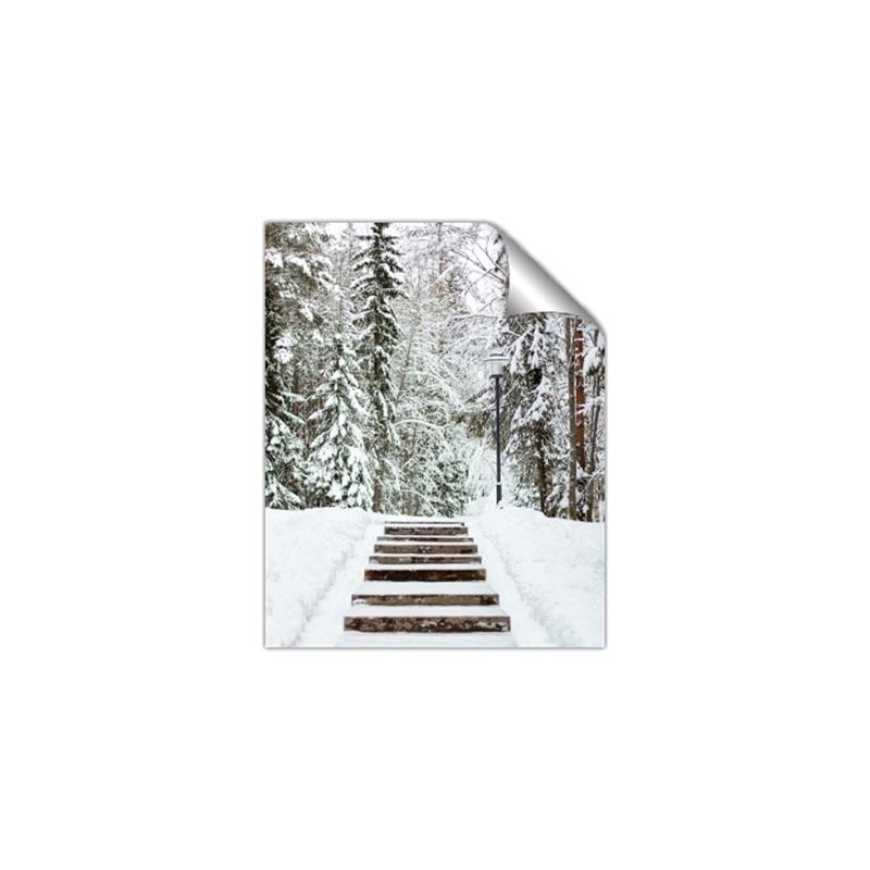 Picture of Winter's Kiss _GroupedProduct_Rectangle_Portrait_Photography _GroupedProduct_Rectangle_Portrait_Unframed_Print_Only_