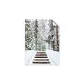 Picture of Winter's Kiss _GroupedProduct_Rectangle_Portrait_Photography _GroupedProduct_Rectangle_Portrait_Unframed_Print_Only_