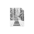 Picture of Winter's Kiss _GroupedProduct_Rectangle_Portrait_Photography _GroupedProduct_Rectangle_Portrait_Unframed_Print_Only_