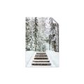 Picture of Winter's Kiss _GroupedProduct_Rectangle_Portrait_Photography _GroupedProduct_Rectangle_Portrait_Unframed_Print_Only_