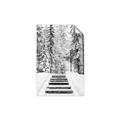 Picture of Winter's Kiss _GroupedProduct_Rectangle_Portrait_Photography _GroupedProduct_Rectangle_Portrait_Unframed_Print_Only_
