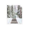 Picture of Winter's Kiss _GroupedProduct_Rectangle_Portrait_Photography _GroupedProduct_Rectangle_Portrait_Unframed_Print_Only_