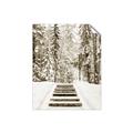 Picture of Winter's Kiss _GroupedProduct_Rectangle_Portrait_Photography _GroupedProduct_Rectangle_Portrait_Unframed_Print_Only_