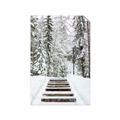 Picture of Winter's Kiss _GroupedProduct_Rectangle_Portrait_Photography _GroupedProduct_Rectangle_Portrait_Unframed_Print_Only_