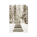Picture of Winter's Kiss _GroupedProduct_Rectangle_Portrait_Photography _GroupedProduct_Rectangle_Portrait_Unframed_Print_Only_