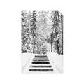 Picture of Winter's Kiss _GroupedProduct_Rectangle_Portrait_Photography _GroupedProduct_Rectangle_Portrait_Unframed_Print_Only_