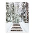Picture of Winter's Kiss _GroupedProduct_Rectangle_Portrait_Photography _GroupedProduct_Rectangle_Portrait_Unframed_Print_Only_