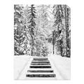 Picture of Winter's Kiss _GroupedProduct_Rectangle_Portrait_Photography _GroupedProduct_Rectangle_Portrait_Unframed_Print_Only_