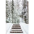 Picture of Winter's Kiss _GroupedProduct_Rectangle_Portrait_Photography _GroupedProduct_Rectangle_Portrait_Unframed_Print_Only_