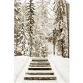 Picture of Winter's Kiss _GroupedProduct_Rectangle_Portrait_Photography _GroupedProduct_Rectangle_Portrait_Unframed_Print_Only_