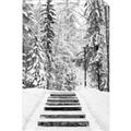 Picture of Winter's Kiss _GroupedProduct_Rectangle_Portrait_Photography _GroupedProduct_Rectangle_Portrait_Unframed_Print_Only_