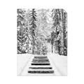 Picture of Winter's Kiss _GroupedProduct_Rectangle_Portrait_Photography _GroupedProduct_Rectangle_Portrait_Unframed_Print_Only_