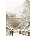 Picture of Snowy Bridge _GroupedProduct_Rectangle_Portrait_Photography _GroupedProduct_Rectangle_Portrait_Unframed_Print_Only_