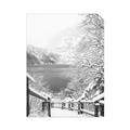 Picture of Snowy Bridge _GroupedProduct_Rectangle_Portrait_Photography _GroupedProduct_Rectangle_Portrait_Unframed_Print_Only_
