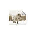 Picture of Fluffy Friend _GroupedProduct_Rectangle_Landscape_Photography _GroupedProduct_Rectangle_Landscape_Unframed_Print_Only_