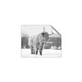 Picture of Fluffy Friend _GroupedProduct_Rectangle_Landscape_Photography _GroupedProduct_Rectangle_Landscape_Unframed_Print_Only_