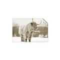 Picture of Fluffy Friend _GroupedProduct_Rectangle_Landscape_Photography _GroupedProduct_Rectangle_Landscape_Unframed_Print_Only_