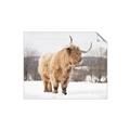 Picture of Fluffy Friend _GroupedProduct_Rectangle_Landscape_Photography _GroupedProduct_Rectangle_Landscape_Unframed_Print_Only_