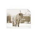 Picture of Fluffy Friend _GroupedProduct_Rectangle_Landscape_Photography _GroupedProduct_Rectangle_Landscape_Unframed_Print_Only_